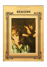 Brzezina (Łukasiewicz)