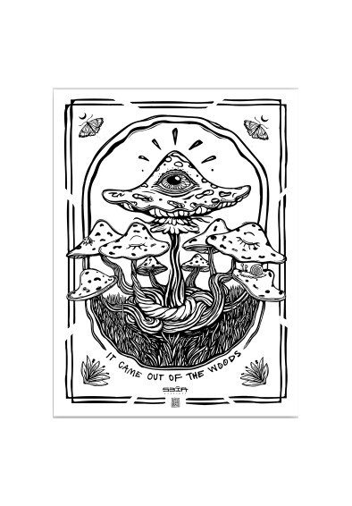 It came out of the woods