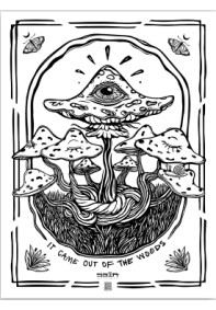 It came out of the woods