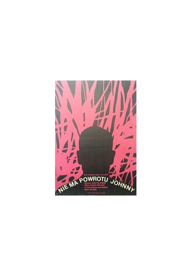 Nie ma powrotu Johny