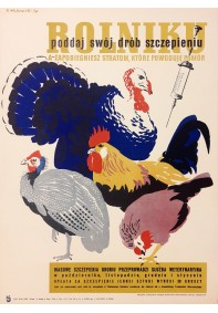 Rolniku poddaj swój drób szczepieniu