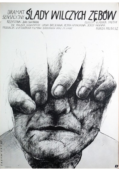 Ślady wilczych zębów