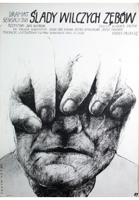 Ślady wilczych zębów