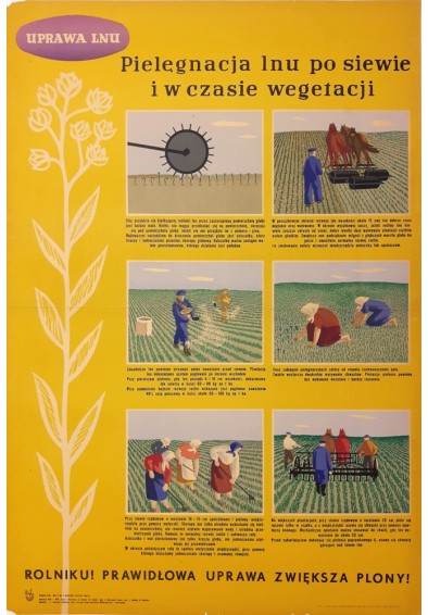 Uprawa lnu (pielęgnacja po siewie)