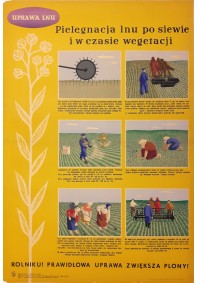 Uprawa lnu (pielęgnacja po siewie)