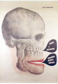 Wędrówka mistrza Kościeja