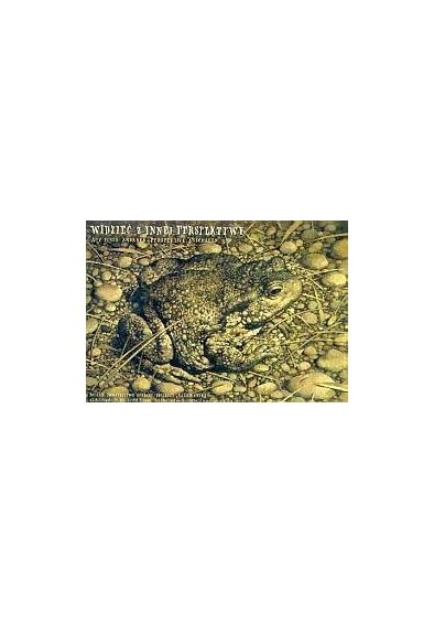 Widzieć z innej perspektywy