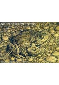 Widzieć z innej perspektywy