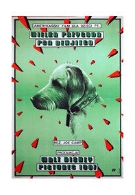 Wielka przygoda psa Benjego