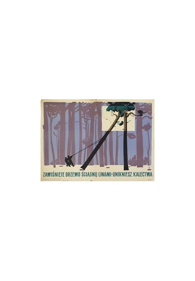 Zawiśnięte drzewo ściągnij linami