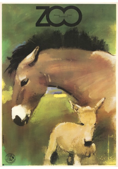 ZOO - koń przewalskiego (konie) REPRINT