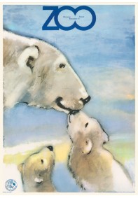 ZOO - niedźwiedzie polarne (misie) REPRINT