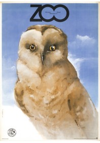 ZOO - sowy REPRINT
